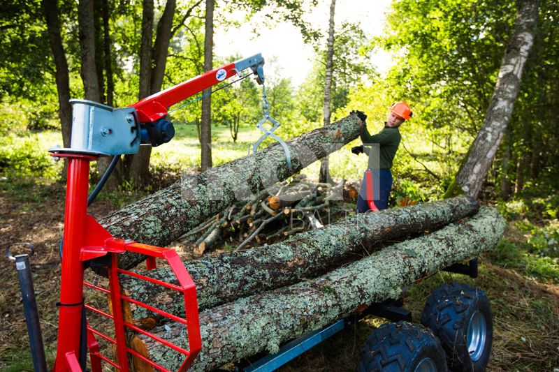 Log Grapple - Lifting Tongs