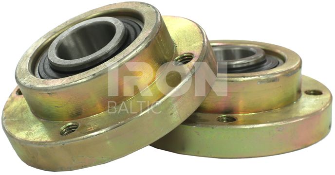 Bearings for rotor